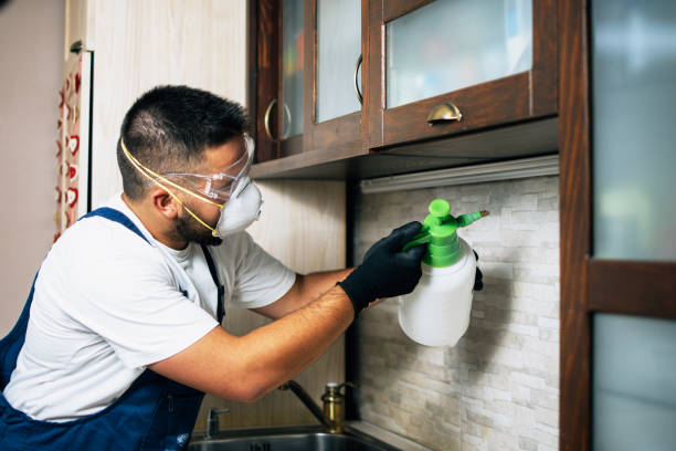 Best Bed Bug Extermination  in Spanish Lake, MO